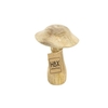 Mushroom Mango H15D10