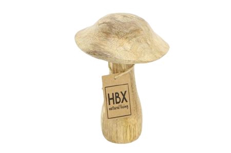 <h4>Mushroom Mango H15D10</h4>