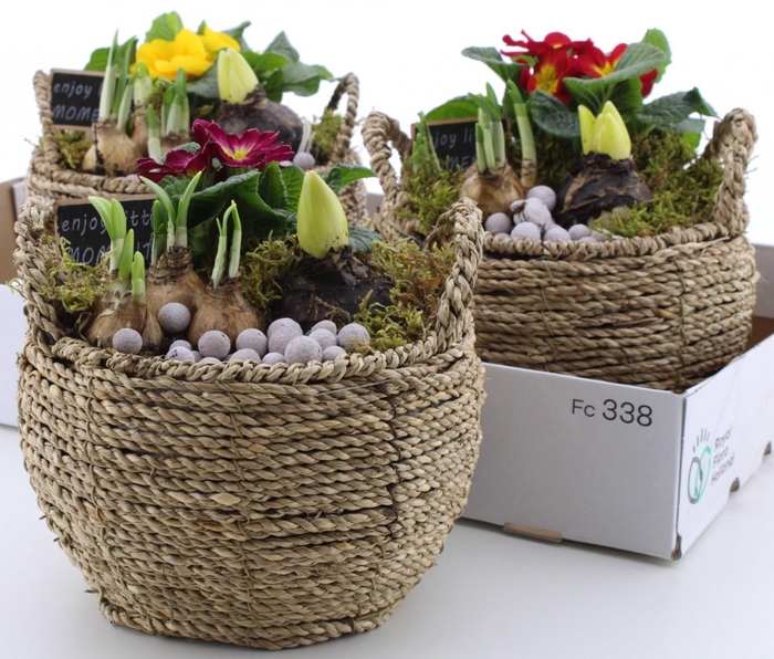 <h4>ARR PL IN SCHAAL</h4>