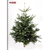 Zz Kerstboom Nordman 230cm