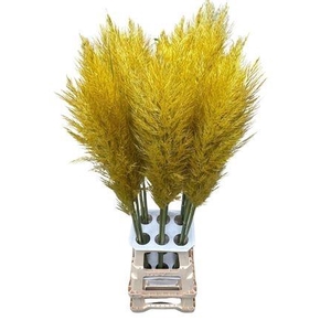 SNIJBLOEMEN KLB H%