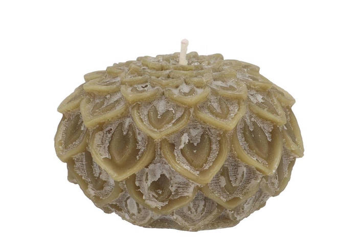 Candle Dahlia Olive 12x8cm Nm
