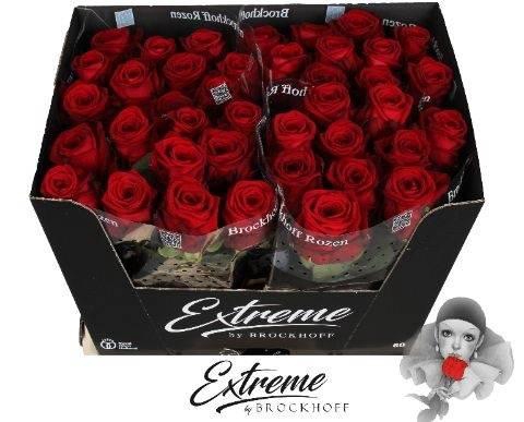 <h4>R Gr Red Naomi!</h4>