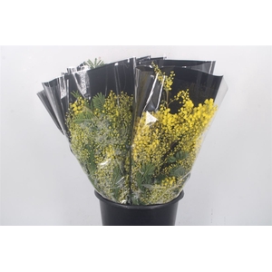 Acacia Mirandol Per Bunch 200 Gram