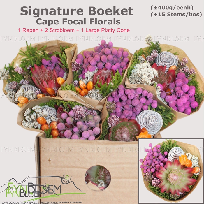 <h4>PROTEA PER BOS</h4>