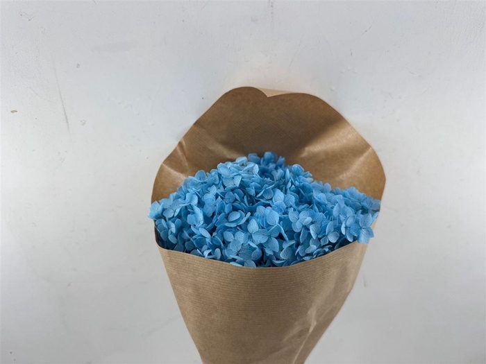 <h4>Pres Hydrangea Lightblue Bunch</h4>