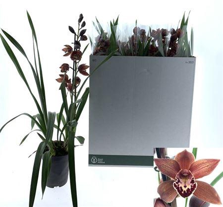 Cymb Overig 1 Branche