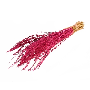 Palak Stick Cerise