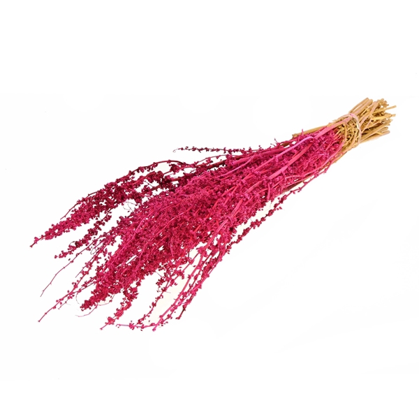 <h4>Palak Stick Cerise</h4>
