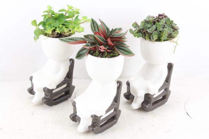 <h4>arr3 SN - Ker. rocking chair M x9</h4>