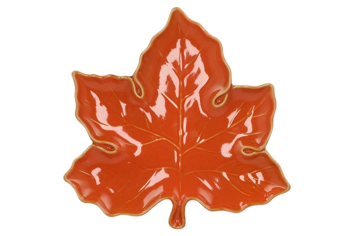 <h4>Leaf Maple Plate Orange 24x24x4cm Nm</h4>
