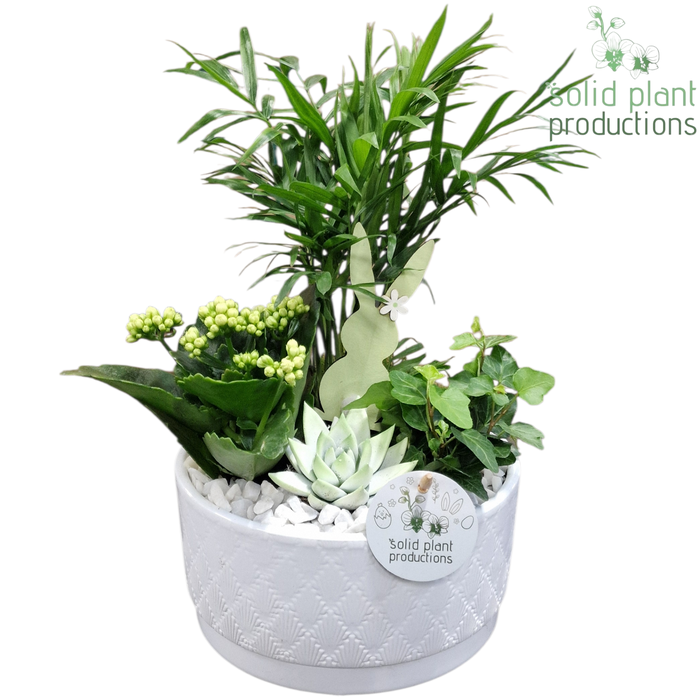 <h4>CE003 Loes White Easter</h4>