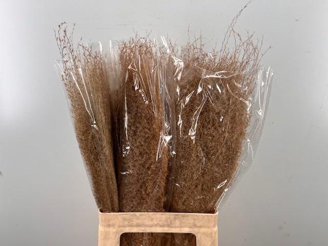 <h4>DROOGBL BEWERKT H%</h4>