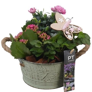 PTPP6824 Arrangement Patio in metalen bak