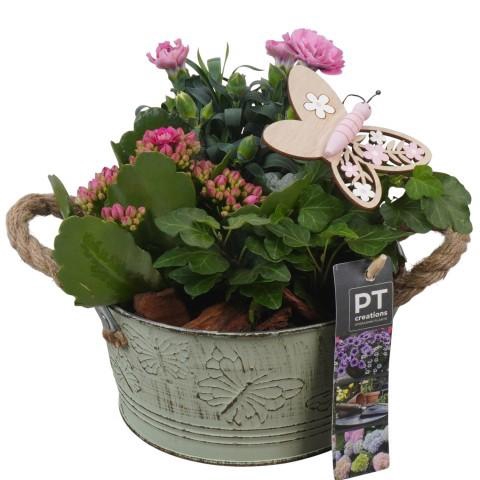 <h4>PTPP6824 Arrangement Patio in metalen bak</h4>