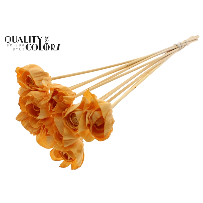 <h4>Shola Dear Holly 6cm on stem Apricot</h4>