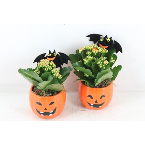 arr2 JS - Ker. halloween mix x8 oranje