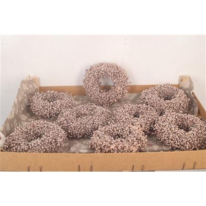 Krans Schinus Champagne 12cm