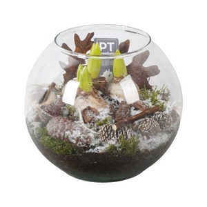 PTHCG5042 Arrangement Hyacint in glas bol