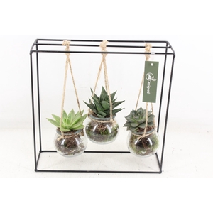 arr2 MB - Ijzer rek 3 hangbol