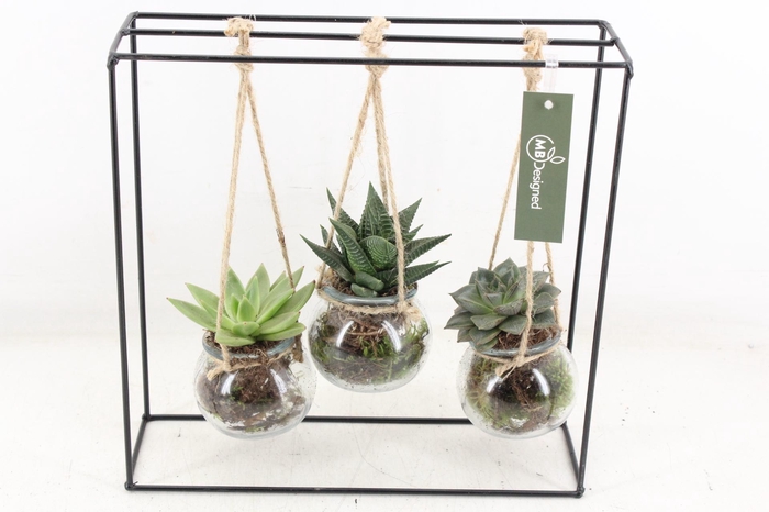 <h4>arr2 MB - Ijzer rek 3 hangbol</h4>