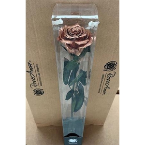 50cm Stem Metallic Copper