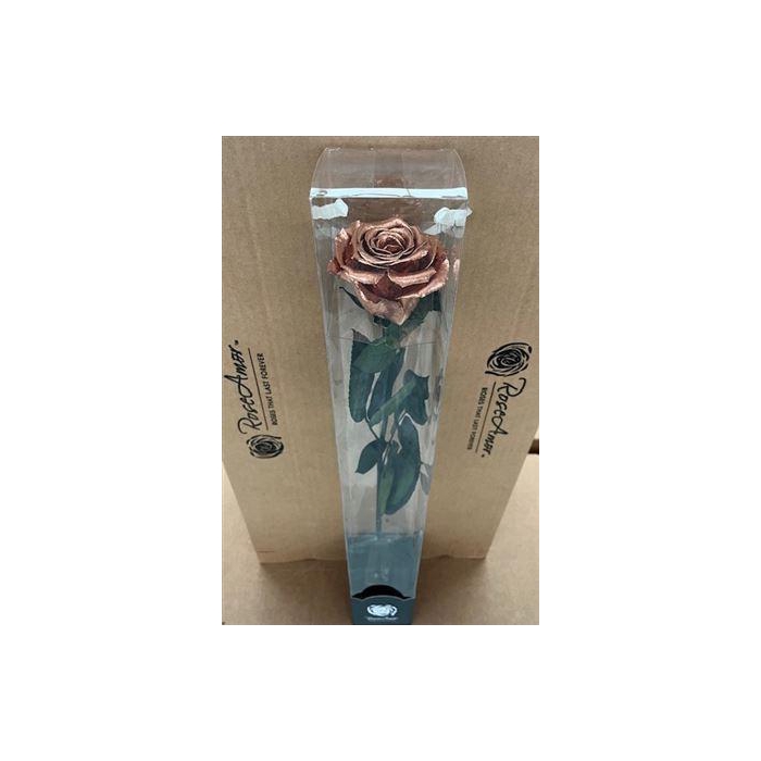 <h4>50cm Stem Metallic Copper</h4>