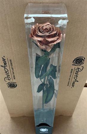 50cm Stem Metallic Copper