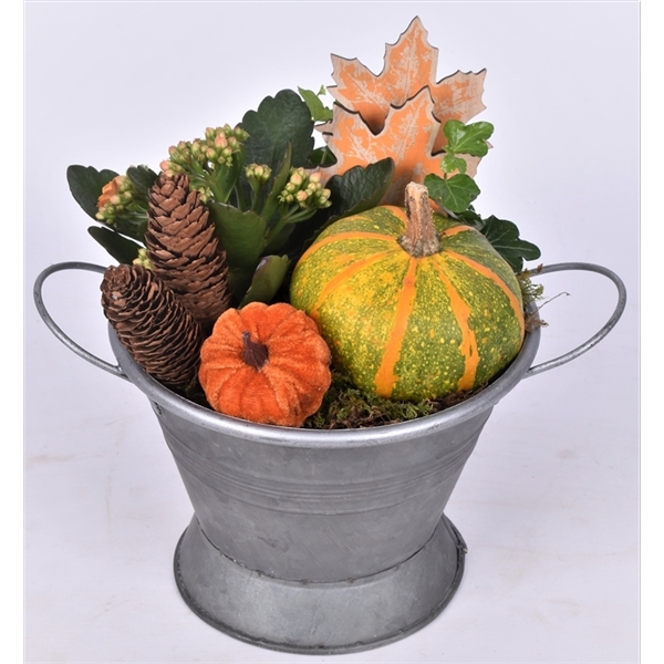<h4>Arrangementen Sierfruit</h4>