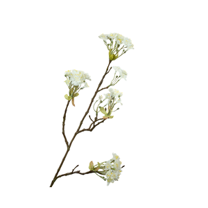 Prunus Blossom White