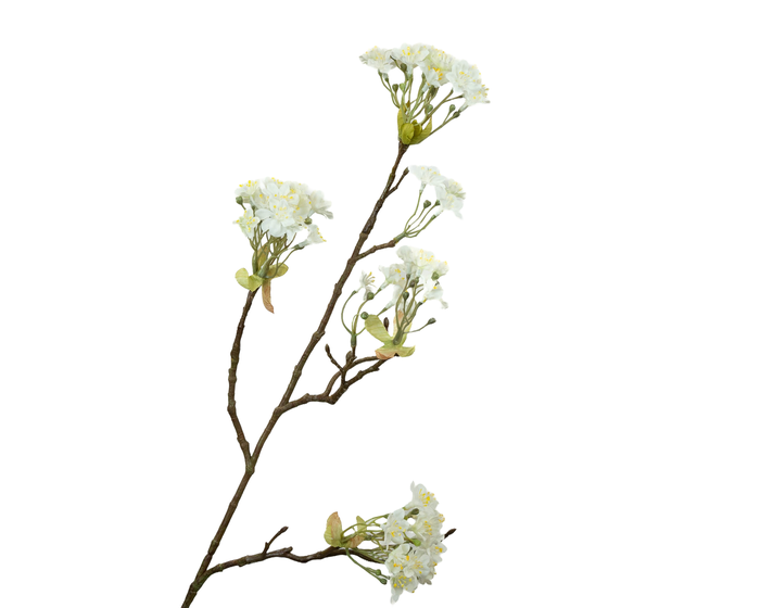 <h4>Prunus Blossom White</h4>