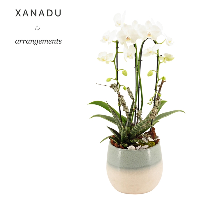 <h4>Xanadu Zagreb</h4>