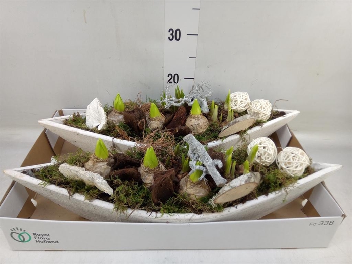 <h4>Arr.   Bol/Knolgewas L%</h4>