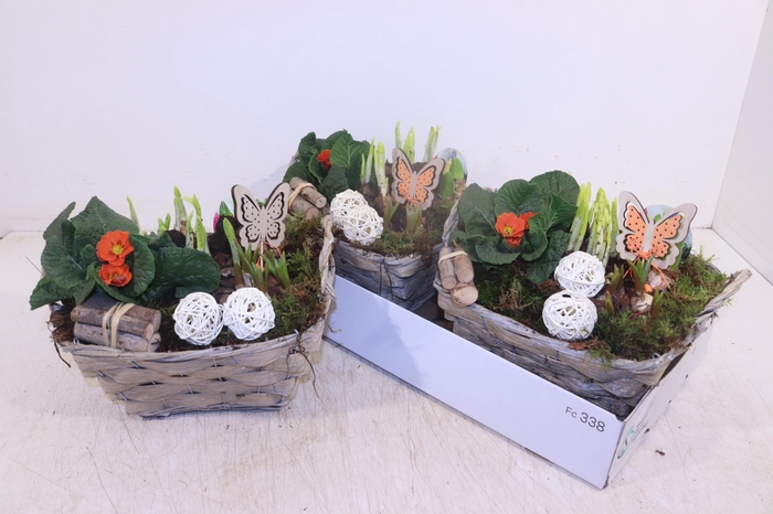 <h4>ARR TUINPLANTEN</h4>