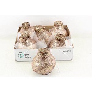 arr4 Amaryllis CM - Wax glitter zalm