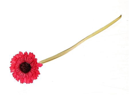 Artificial Flower Germini L50