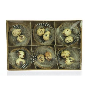 Nest met 2 Kwarteleierenn 6nest/ds