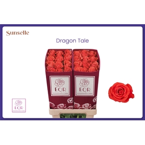R GR DRAGON TALE