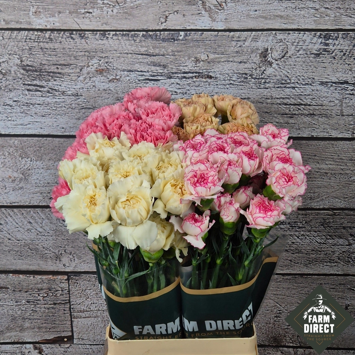 <h4>DI ST GEMENGD PASTEL IN FUST</h4>