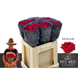 R GR RED NAOMI! WILD WEST 60B