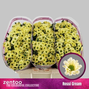 CHR SAN ROSSI CREAM