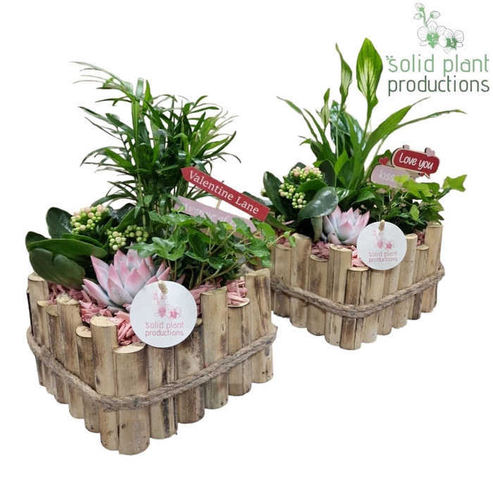 <h4>HVSCE004 Verona Small Pink Mix</h4>