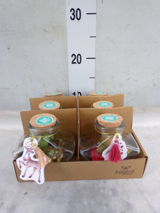 <h4>Arr.    Planten  L%</h4>