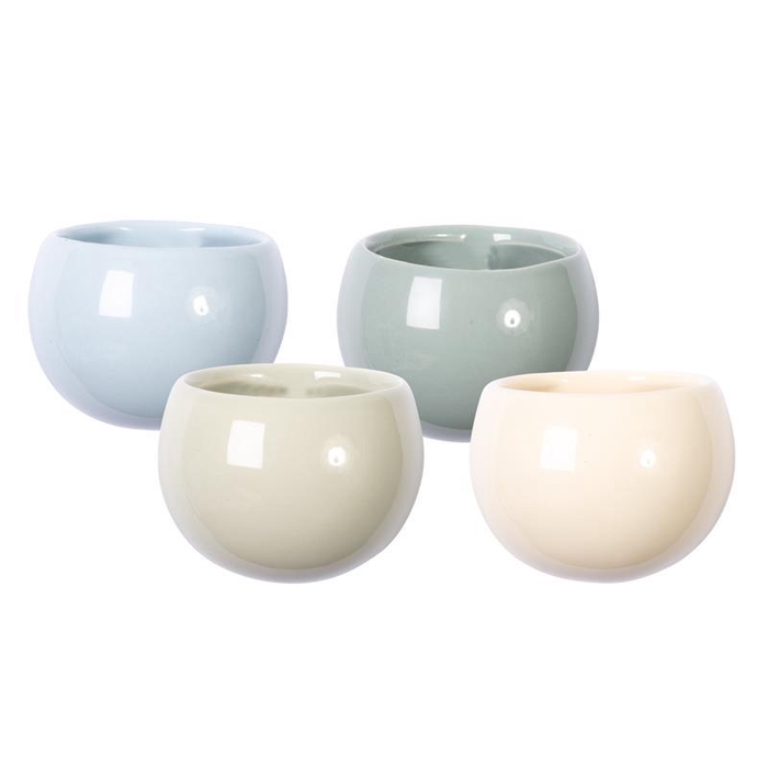 <h4>999191 Magnet Sea Breeze Display</h4>