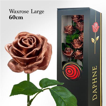 <h4>Wax Rose L Copper 60cm</h4>