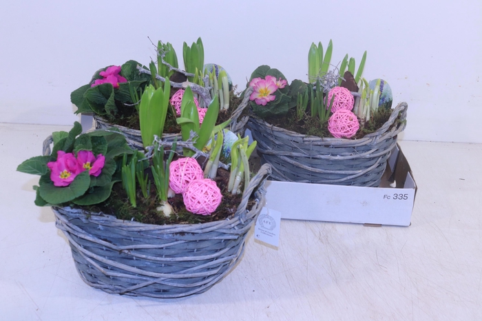 <h4>ARR PL IN SCHAAL</h4>