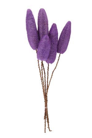 <h4>Deco Luffa 5pc Purple Bunch Slv</h4>