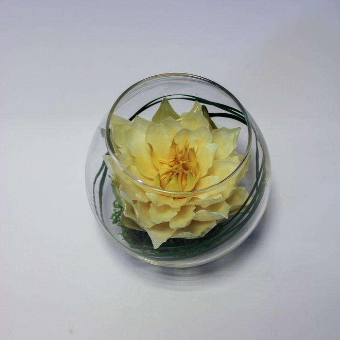 Bolvaas D12cm waterlelie