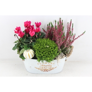 arr4 Outdoor VL - Zink ovaal flowers