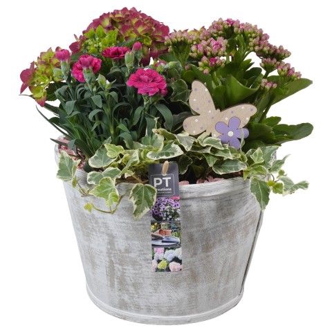 <h4>Opm Pt PTPP2586 Patio Hout Pot</h4>